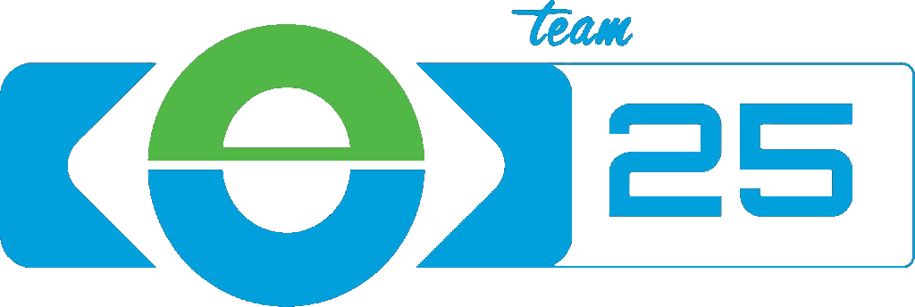 Team 25 eSolutions logo